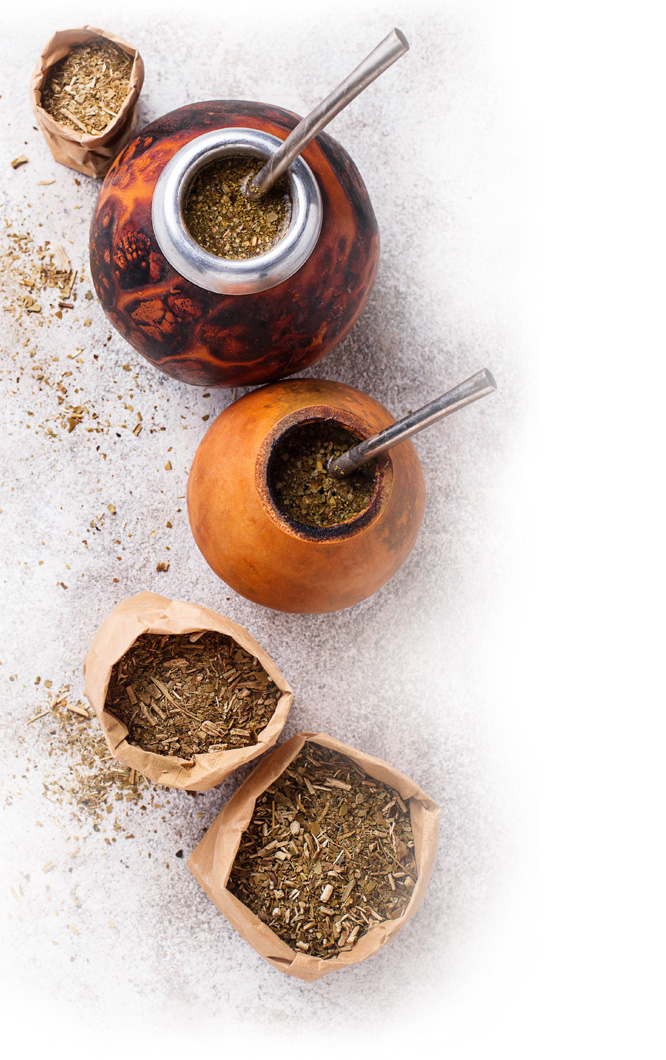 Yerba Mate  Thirsty For  